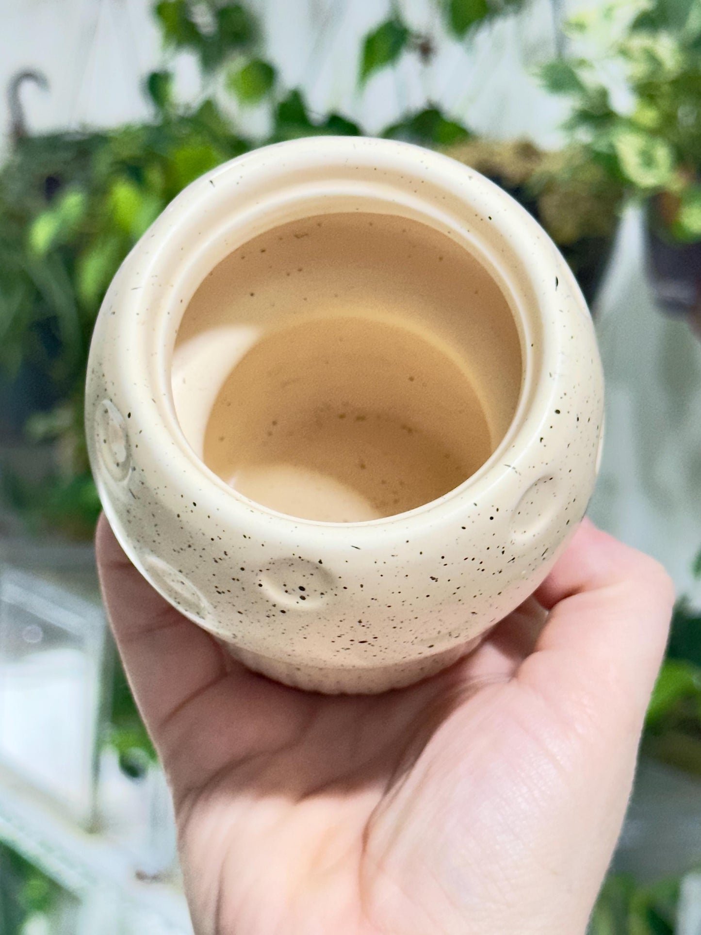 Ceramic Mushroom Planter, Propagation Container, Ceramic Planter, Cute Planter, Planter for Cuttings, Unique Planters, Antique Planters