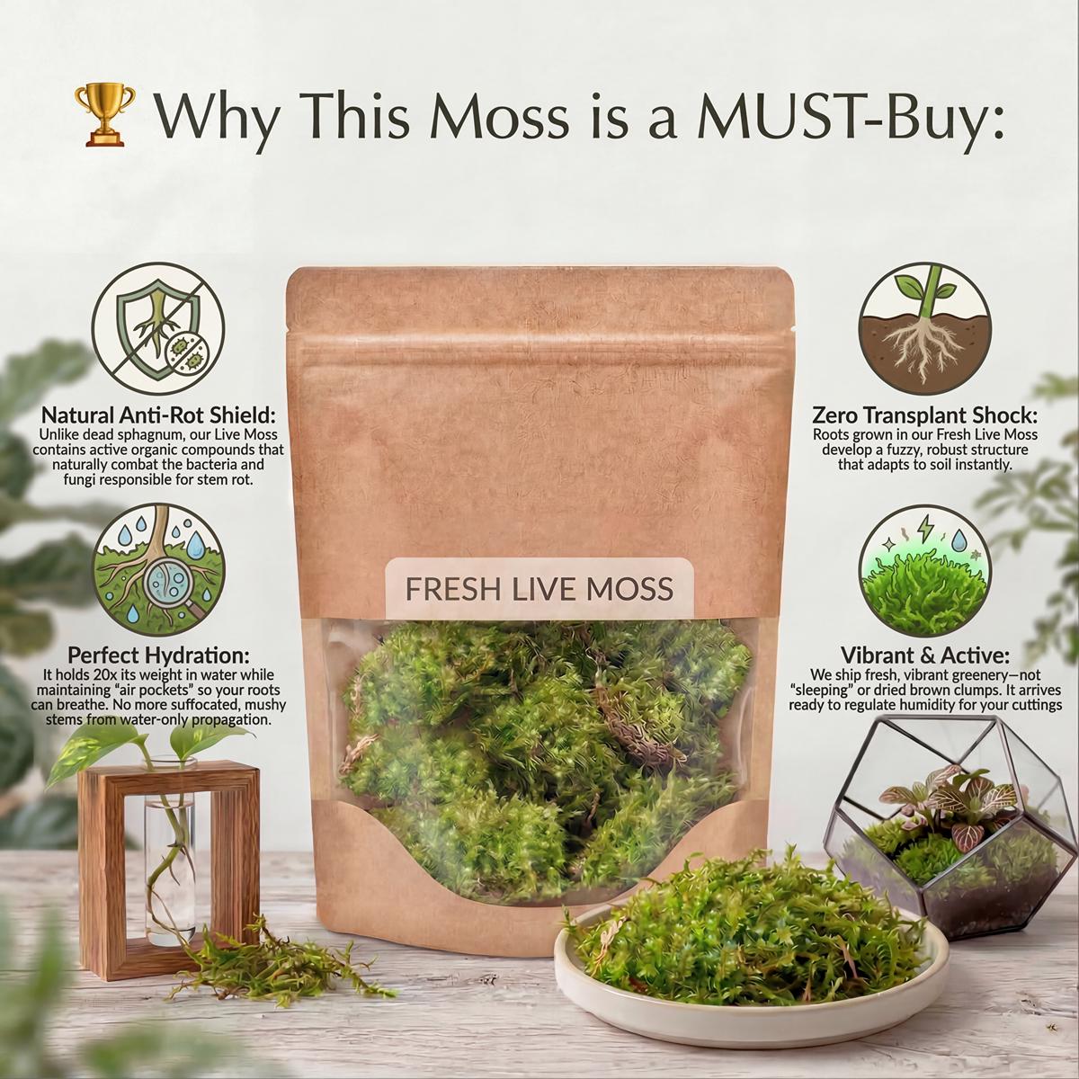 Live Moss for Houseplant Cuttings - Fresh Portions for Terrariums & Propagation | Green Moss Bundle, Vivarium Decor, DIY Plant Care
