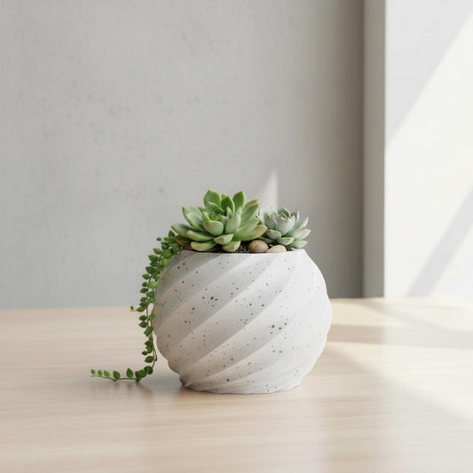 Succulent Planter, Cute Planter, 3D Printed Planter Pot, Houseplant Accessories, Spiral Design, Plant, Nursery Pot, Botany Home Déco