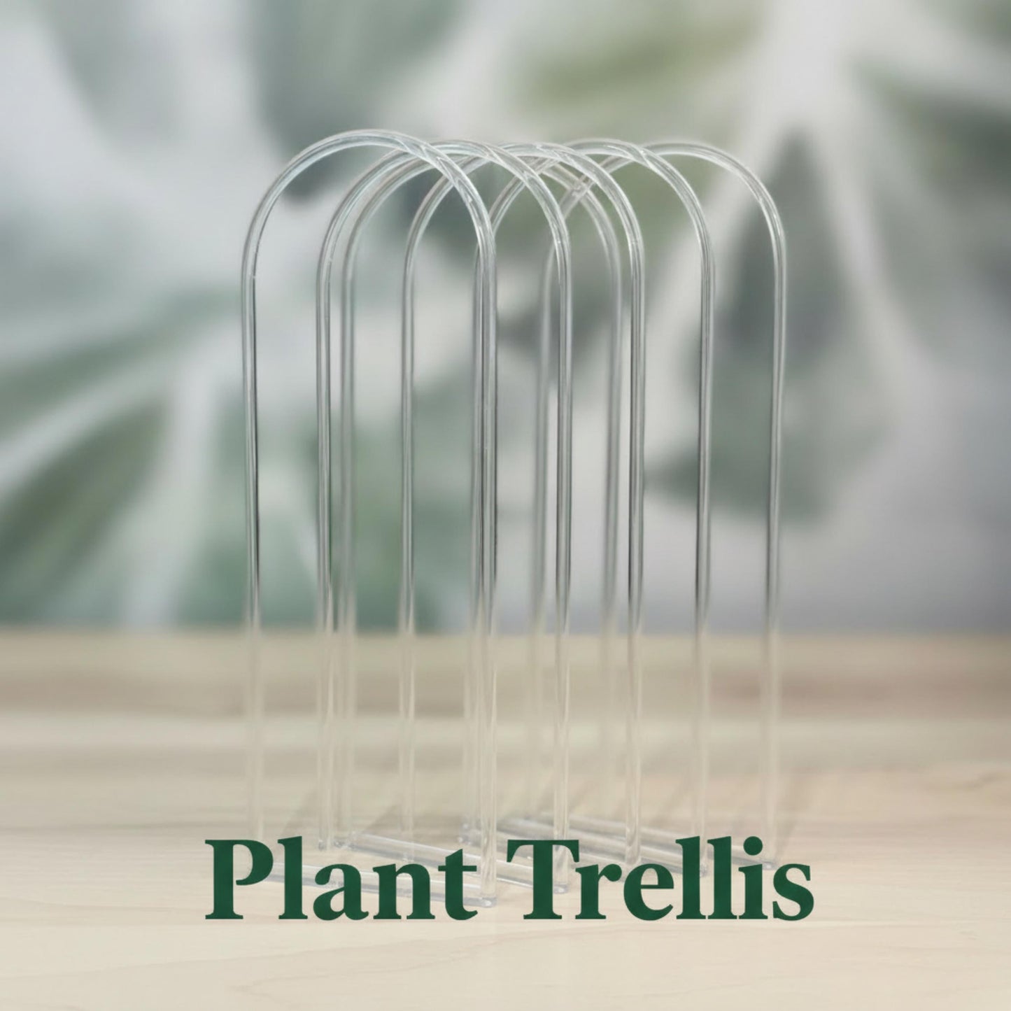 Houseplant Trellis indoor, Clear as Day: The Arch Trellis, Support Your Greenery
