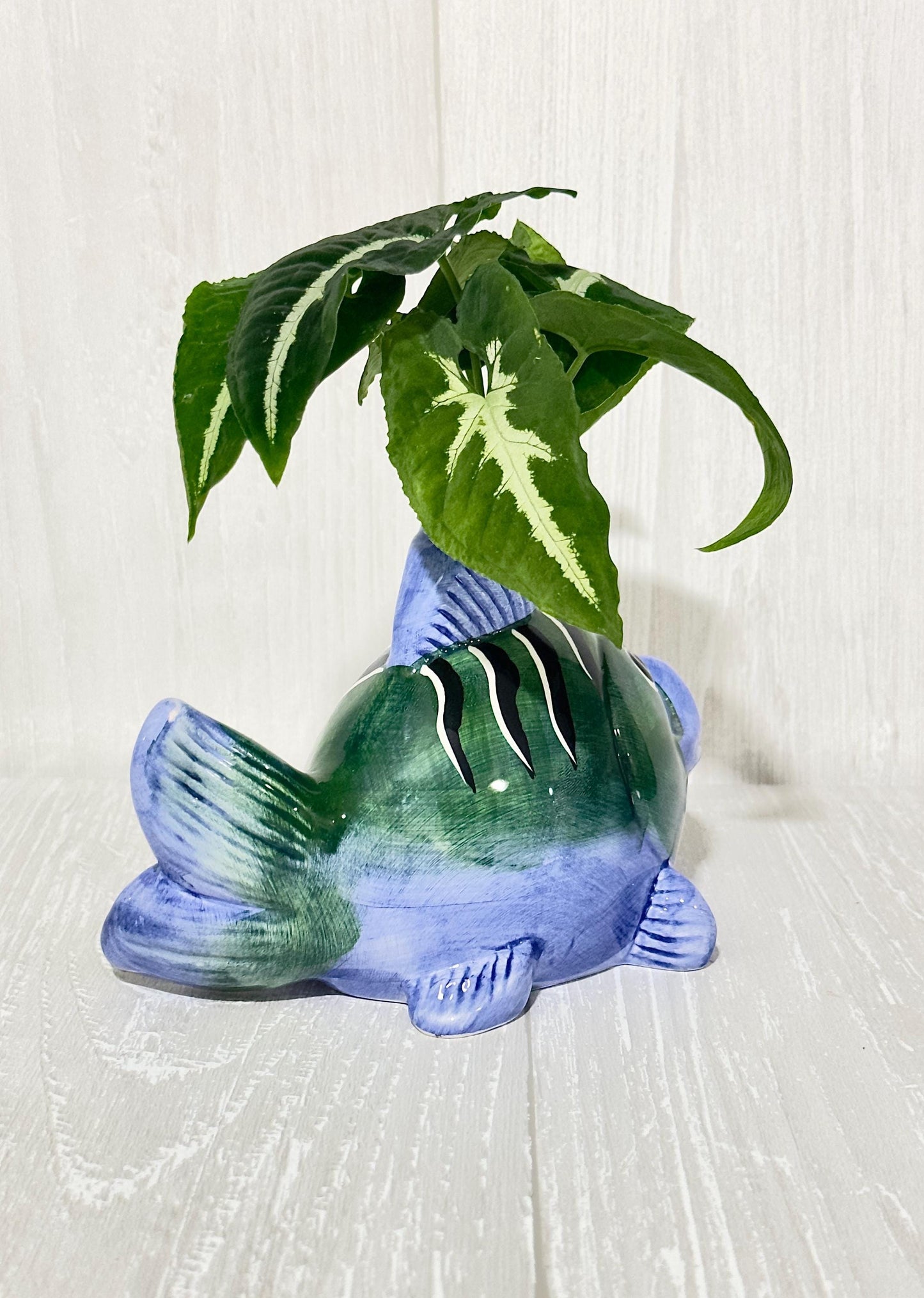 Ceramic Fish Planter, Propagation Container, Ceramic Planter, Cute Planter, Planter for Cuttings, Unique Planters, Antique Planters