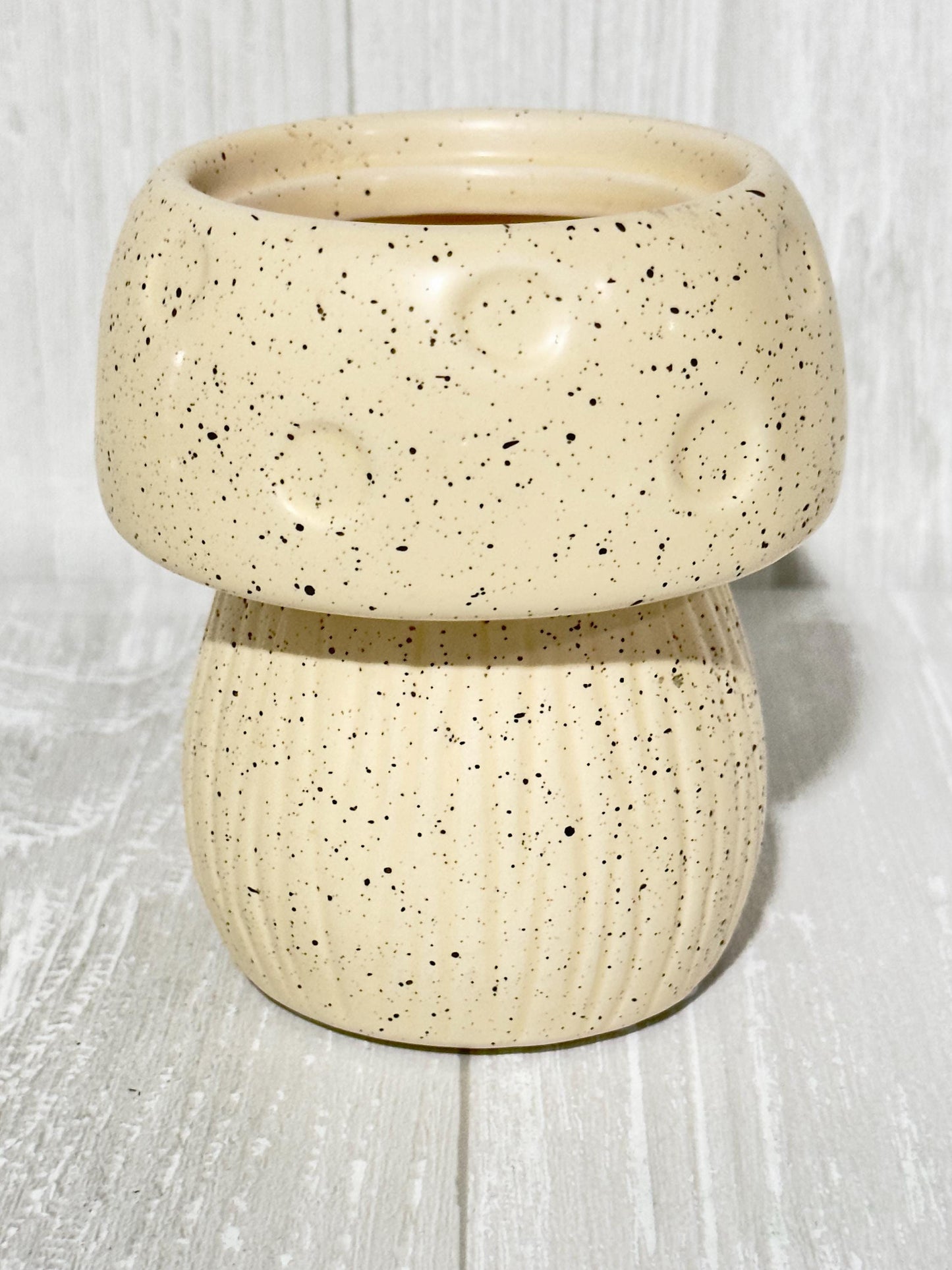 Ceramic Mushroom Planter, Propagation Container, Ceramic Planter, Cute Planter, Planter for Cuttings, Unique Planters, Antique Planters