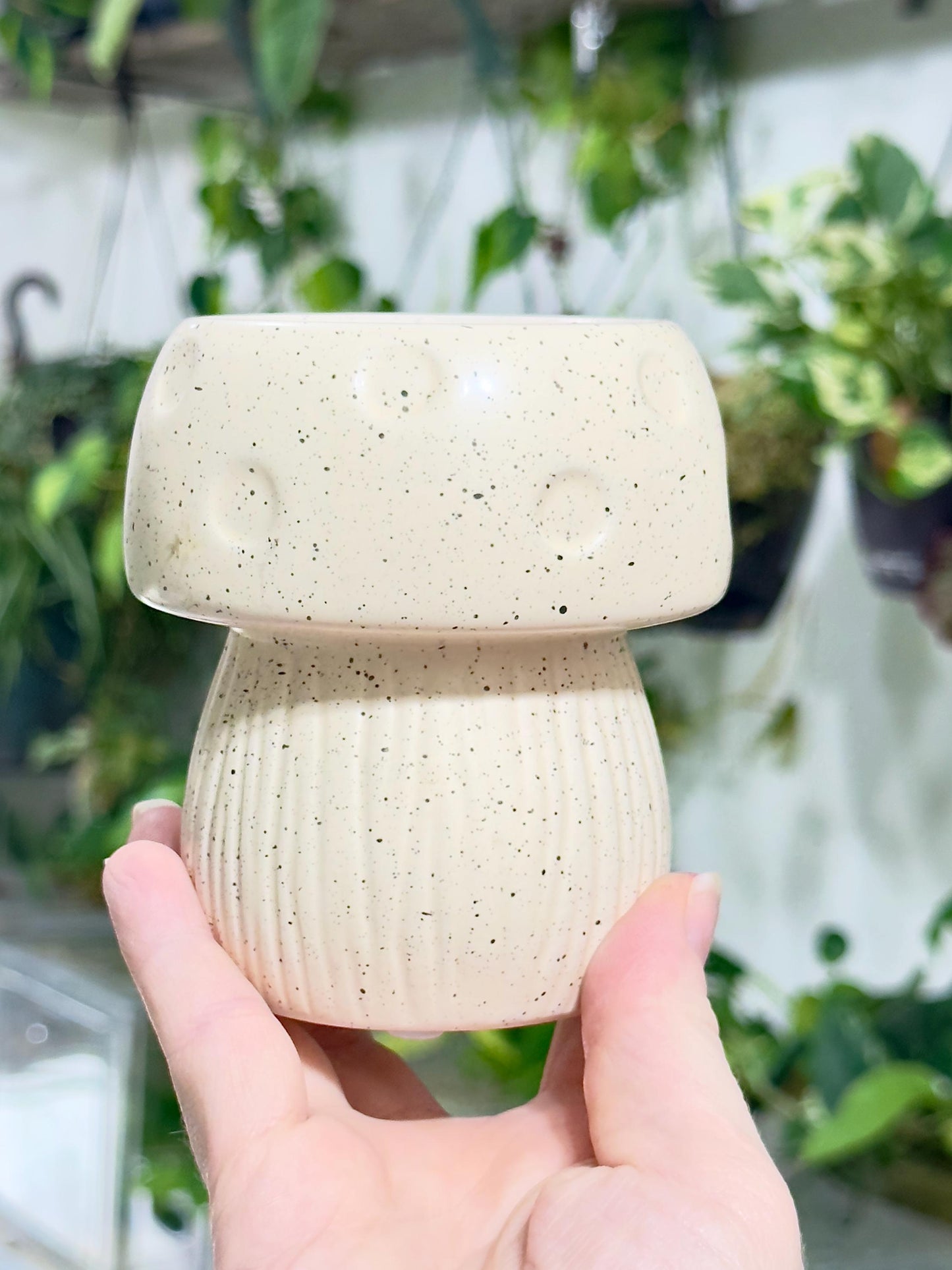 Ceramic Mushroom Planter, Propagation Container, Ceramic Planter, Cute Planter, Planter for Cuttings, Unique Planters, Antique Planters