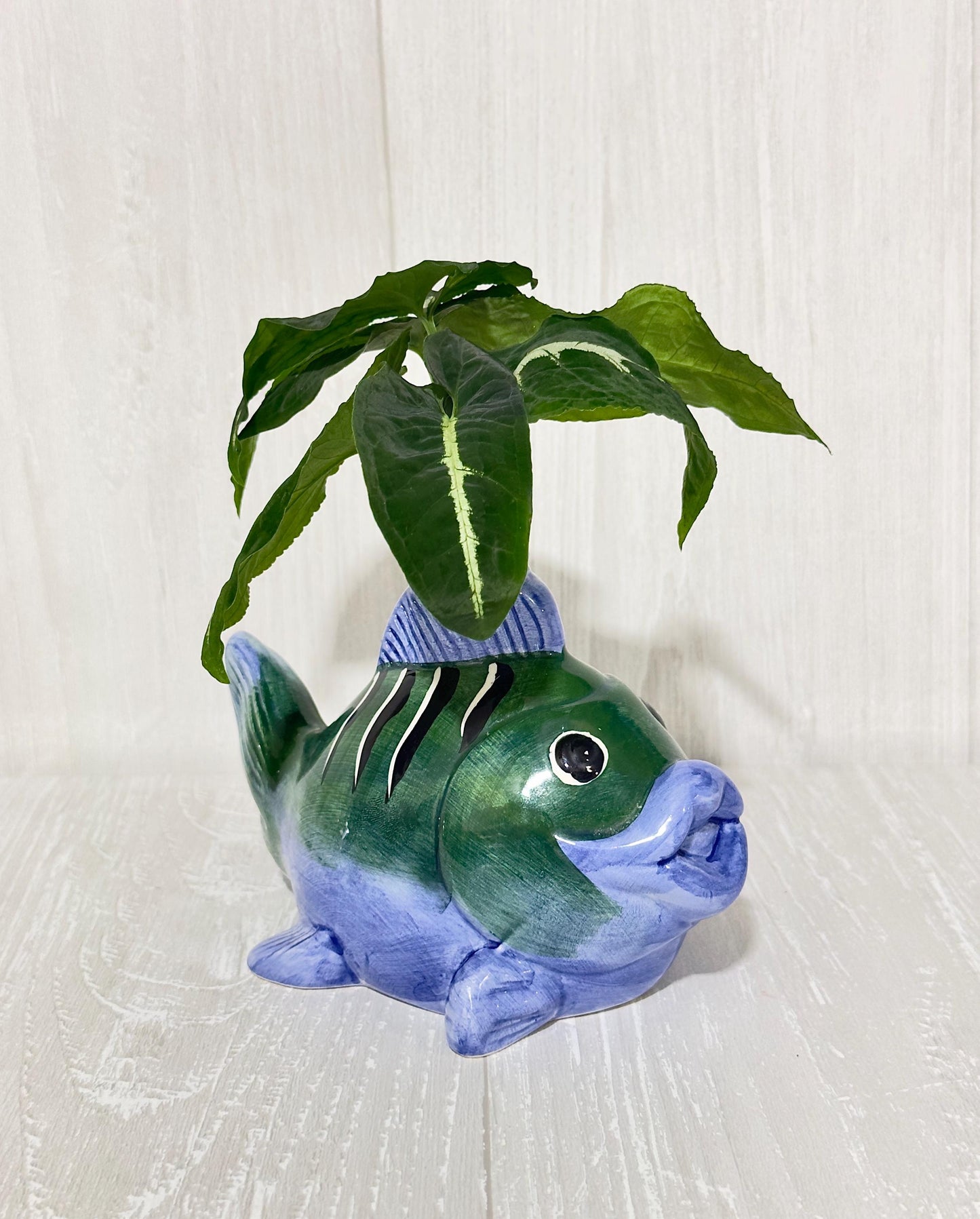 Ceramic Fish Planter, Propagation Container, Ceramic Planter, Cute Planter, Planter for Cuttings, Unique Planters, Antique Planters