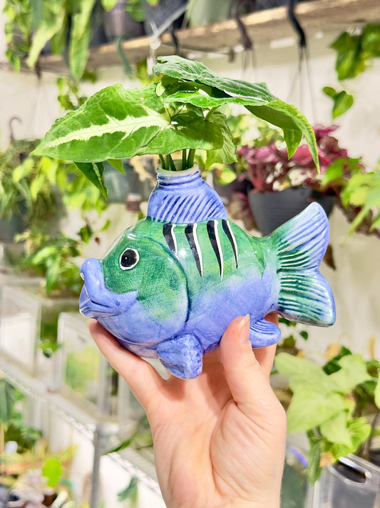 Ceramic Fish Planter, Propagation Container, Ceramic Planter, Cute Planter, Planter for Cuttings, Unique Planters, Antique Planters