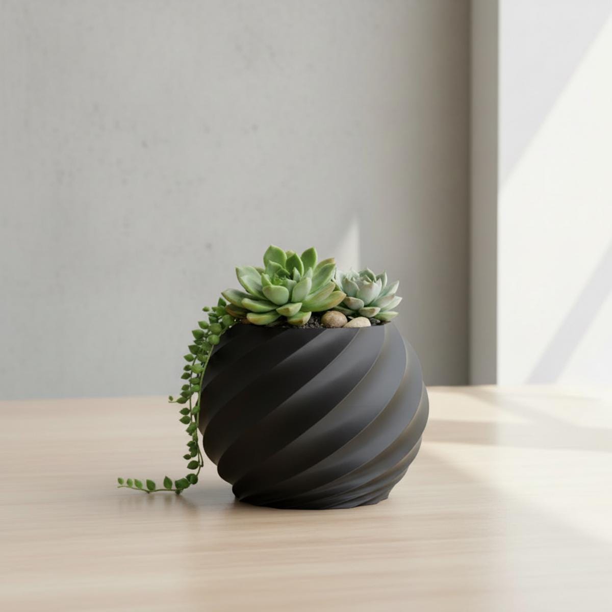 Succulent Planter, Cute Planter, 3D Printed Planter Pot, Houseplant Accessories, Spiral Design, Plant, Nursery Pot, Botany Home Déco
