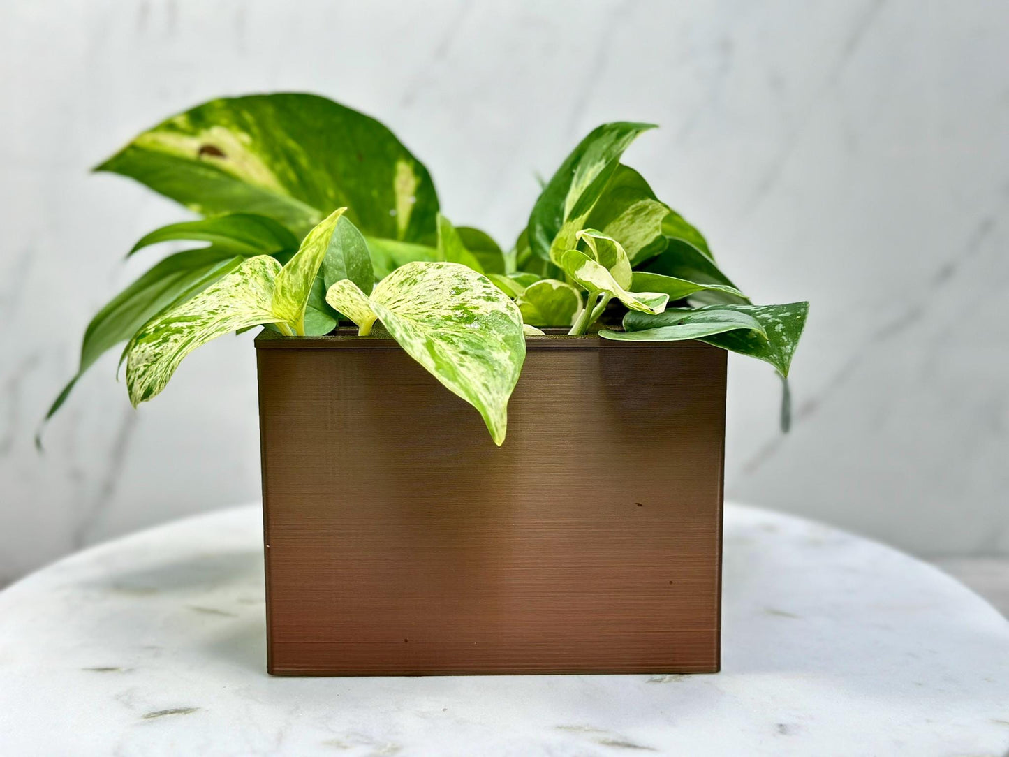 Propagation Box, Propagation Container, Planter Box, Self Watering Planter, Self Watering Propagation Box, Propagation Setup