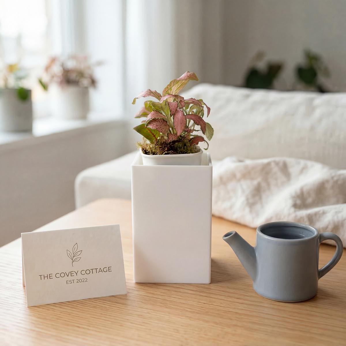 Modern White Acrylic Cover Pot for 2 Inch Starter Plants | Minimalist Thick Square Planter | Smooth Edge Nursery Pot Holder