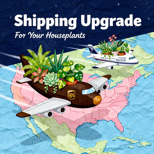 Shipping Upgrade For Your Plants, Select Your Preferred Upgrade, Specify Your Delivery Zone