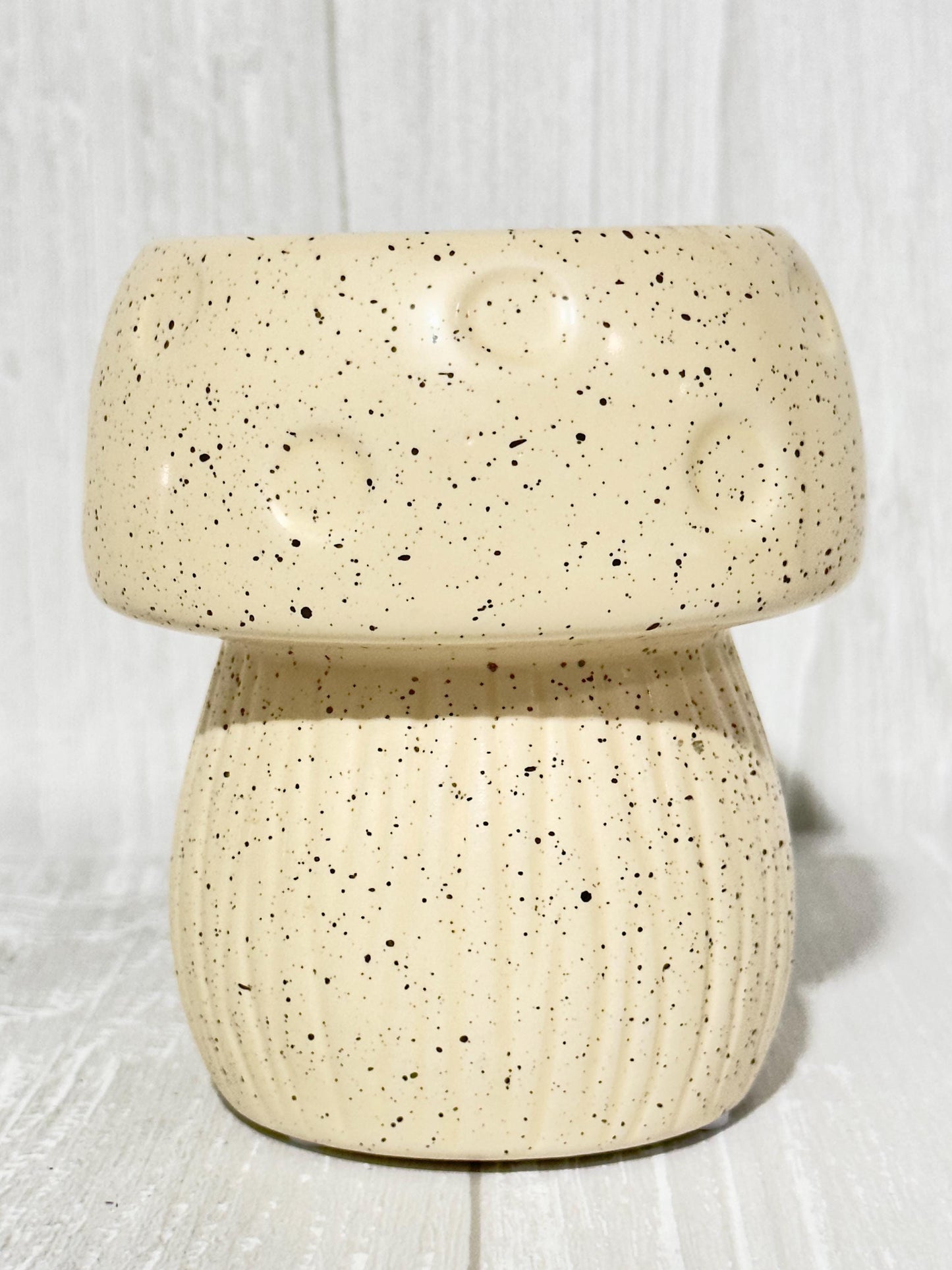 Ceramic Mushroom Planter, Propagation Container, Ceramic Planter, Cute Planter, Planter for Cuttings, Unique Planters, Antique Planters