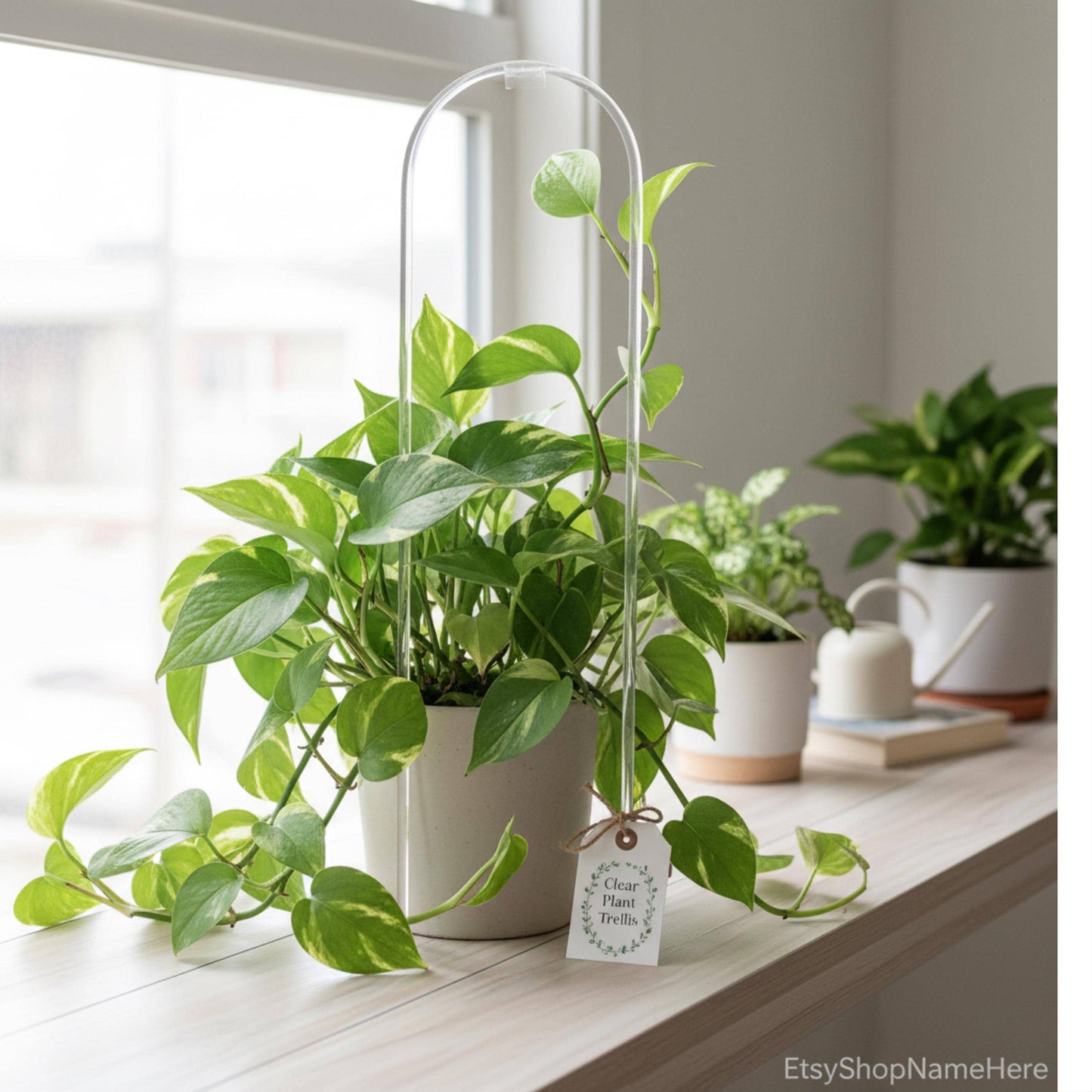 Houseplant Trellis indoor, Clear as Day: The Arch Trellis, Support Your Greenery