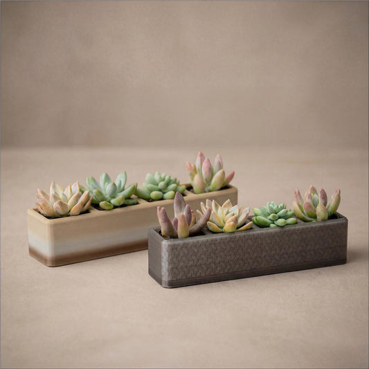 Succulent Planter with Live Plant Gift Planter Modern 3D Print MINI Planter Pot Office Gift Cute Indoor Plant Station Succulent House Plant