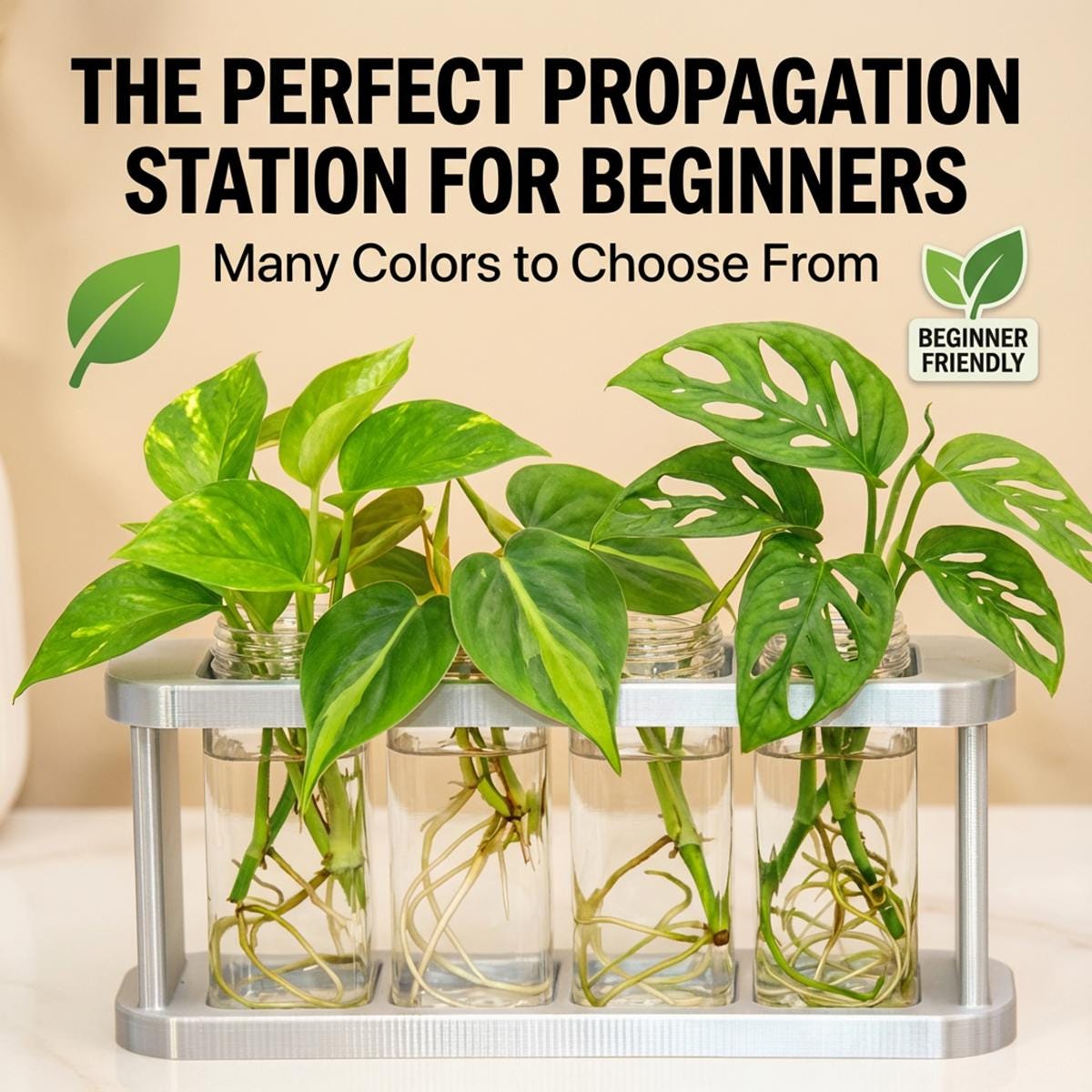 Plant Propagation Station, Wide Mouth Container for Cuttings, Personalized Propagation Station, Modern Plant Décor, Glass Jars for Cuttings