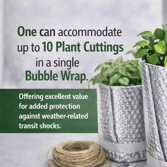 Wrap Each Plant - Extra Safety - Prevent Transit Shock with stable temps - Protection for extreme Heat/Cold fluctuations (add-on Only)