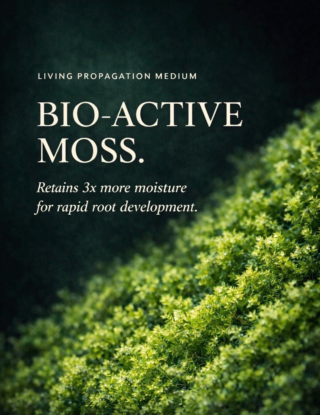 Live Moss for Houseplant Cuttings - Fresh Portions for Terrariums & Propagation | Green Moss Bundle, Vivarium Decor, DIY Plant Care