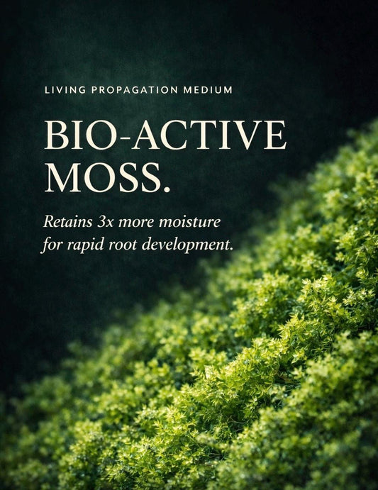 Live Moss for Houseplant Cuttings - Fresh Portions for Terrariums & Propagation | Green Moss Bundle, Vivarium Decor, DIY Plant Care