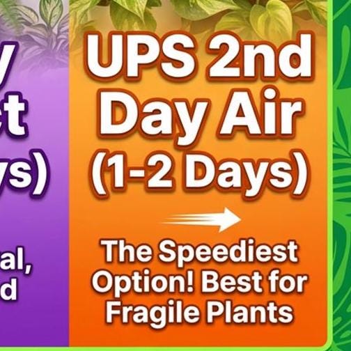 Shipping Upgrade For Your Plants, Select Your Preferred Upgrade, Specify Your Delivery Zone(Add-On Only)