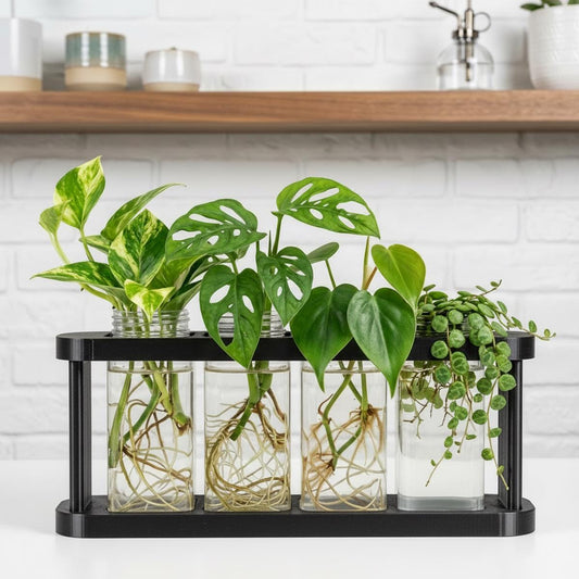 Plant Propagation Station, Wide Mouth Container for Cuttings, Personalized Propagation Station, Modern Plant Décor, Glass Jars for Cuttings