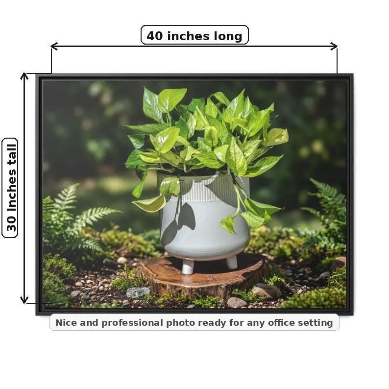 Pothos Plant Photo Matte Canvas Framed Wall Art | Canvas